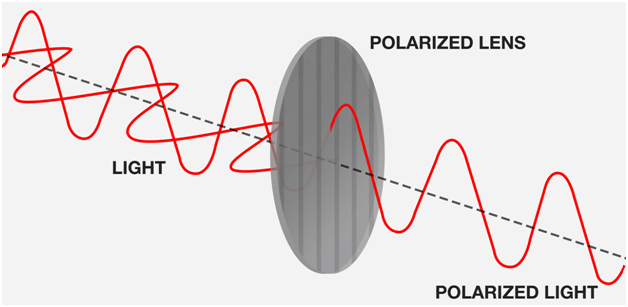 polarized lens